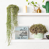 Funny Bathroom Sign Bathroom Decor Desk Decor Wooden Box Sign Rustic Wood Block Plaque Box Sign for Home Farmhouse Office Restroom Toilet Shelf Table Decoration It's Always a Full Moon in Here Sign HTBIG