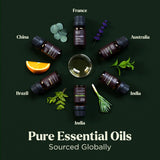 Essential Oils Set - Top 6 Blends for Diffusers, Home Care, Candle Making Scents, Fragrance, Aromatherapy, Humidifiers, Gifts - Peppermint, Tea Tree, Lavender, Eucalyptus, Lemongrass, Orange (10mL) Lagunamoon