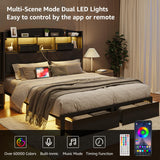 DOGIBIXO Queen Size Black Bed Frame with 4 Storage, Upholstered Velvet Platform Bed Frames with Button Tufted Headboard Led Lights, Wooden Slats Support, No Box Spring Needed, Black DOGIBIXO