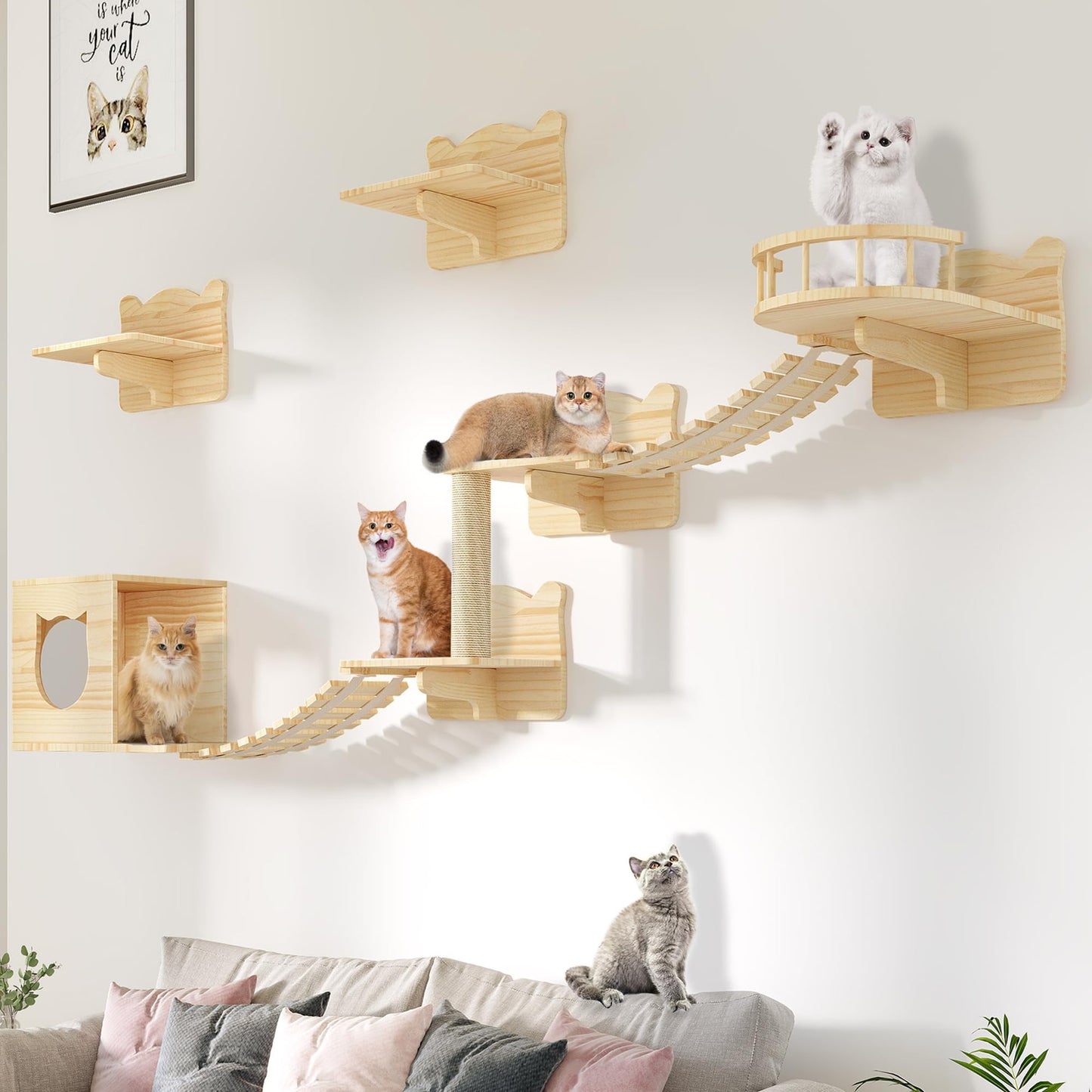 DWVO Cat Wall Shelves and Perches for Wall, Wooden Wall Mounted Cat Furniture, Set of 9 Cat Climbing Shelves with 1 Cat Wall House, 4 Wall Steps, 2 Bridge Ladder, 1 Cat Scratching Post and 1  - WoodArtSupply