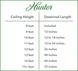 Hunter Fan Company 99283 Polished Nickel 36" Downrod for Ceiling Fans Hunter