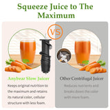 Masticating Juicer Machines, 3.5" Large Feed Chute Cold Press Juicer Fit Whole Fruits Vegetables with Quiet Motor | 5 Speed Modes | Easy to Clean with Brush | BPA Free (Silver & Black) anybear