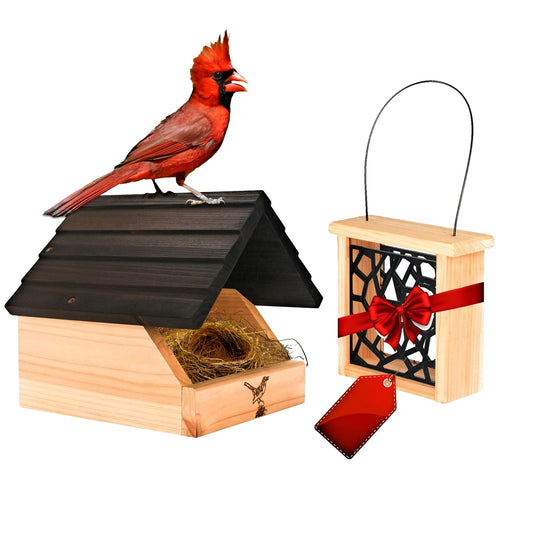 Cedar Open Nesting Box - Cardinal Swallow Bird House Shelter Shelf -Suet Cake Bird Feeder - Birdhouse for Pheobe,Blackbird,Robins,Doves DIY Birdhouse Feeder Kits for Adults.