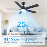 52 Inch Ceiling Fans with Lights and Remote, Black Ceiling Fan with 5 Blades, 6 Speed Reversible DC Motor, 3CCT Dimmable LED, Modern Design for Bedroom, Living room & Covered Outdoor,Includes Downrod Rayqueen