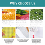 Diamond Painting Kit, 30x40cm African Woman Portrait Cultural Art, Round Drill DIY Craft for Adults, Ethnic Style Decor Gift Amz Camel