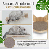 FLUFFYPUFF Cat Wall Shelves & Furniture Set (9 Pieces)-Durable Rubber Wood & Non-Slip Carpet, Includes Washable Hammock, Shelf, Climbing Scratcher, Ladder, Wall Steps, and Sisal Steps for Large Cats FLUFFYPUFF