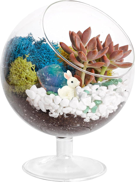 Creations by Nathalie - DIY Glass Plant Terrarium Kit for Adults, Metal Stand, Reindeer Moss, Crystals, Rocks, Tools & Figurine – Complete Starter Set Creations by Nathalie