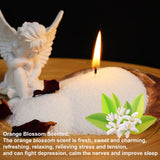 Aufien Pearled Candle 21.4 Oz,Candle Sand Wax DIY Set with 30 Wicks,Refillable Powder Candles Non Toxic,Bead Candle Making Kit for Handmade, Wedding and Party Decorations Orange Blossom Scented Aufien