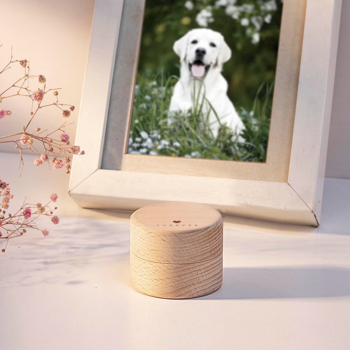 Pet Urns for Dog or Cat Ashes, Mini urns for pet Ashes, Wooden Pet Cremation Urns, Pet Memorial Keepsake Cat or Dog Memory Box, Loss Pet Sympathy Remembrance Gift (Heart Shape) cooikooi