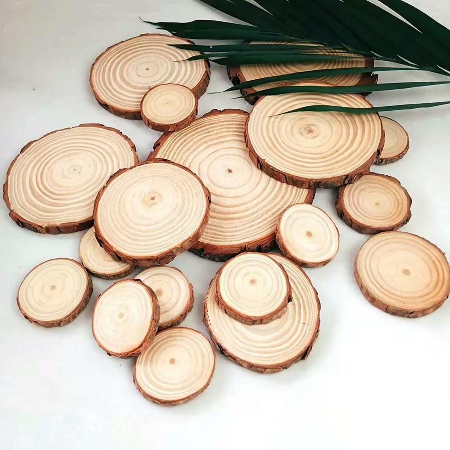 BIBRADAA 4 Pcs Wood Slice Ornaments 6.7-7.0 Inches,Round Wood Slices for Ornaments,Wood Slices for Crafting,Wooden Slices for DIY Rustic Candle Holders/Wedding/Christmas.