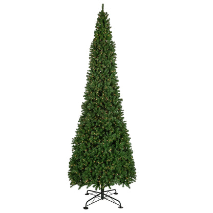 Northlight 16' Pre-Lit Pendleton Spruce Slim Artificial Christmas Tree, Clear Lights