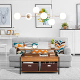 Tangkula Lift Top Coffee Table with Drawers, Multifunctional Pop-up Central Table with Lifting Tabletop, Concealed Compartment & 2 Folding Fabric Drawers, Home Living Room Furniture (Brown) Tangkula