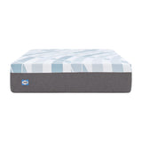 Sealy Dreamlife 14” Foam Mattress-in-a-Box, Twin XL SEALY