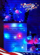 Brightown 4th of July Decor Patriotic Fairy Lights, 7 FT. Silver Wire Red White Blue String Lights, Firefly Starry Moon Lights, Micro LED Mini Fairy Lights for Jars DIY Picture Wedding Brightown