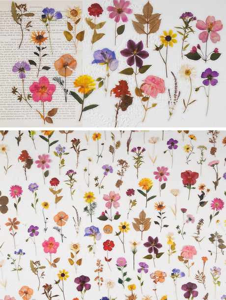 Knaid Pressed Flower Themed Stickers Set (320 Pieces) Dried Flowers Resin Stickers Decals Floral Botanical Journaling Stickers for Scrapbook Supplies Junk Journal Bullet Journal Planner Laptops Knaid