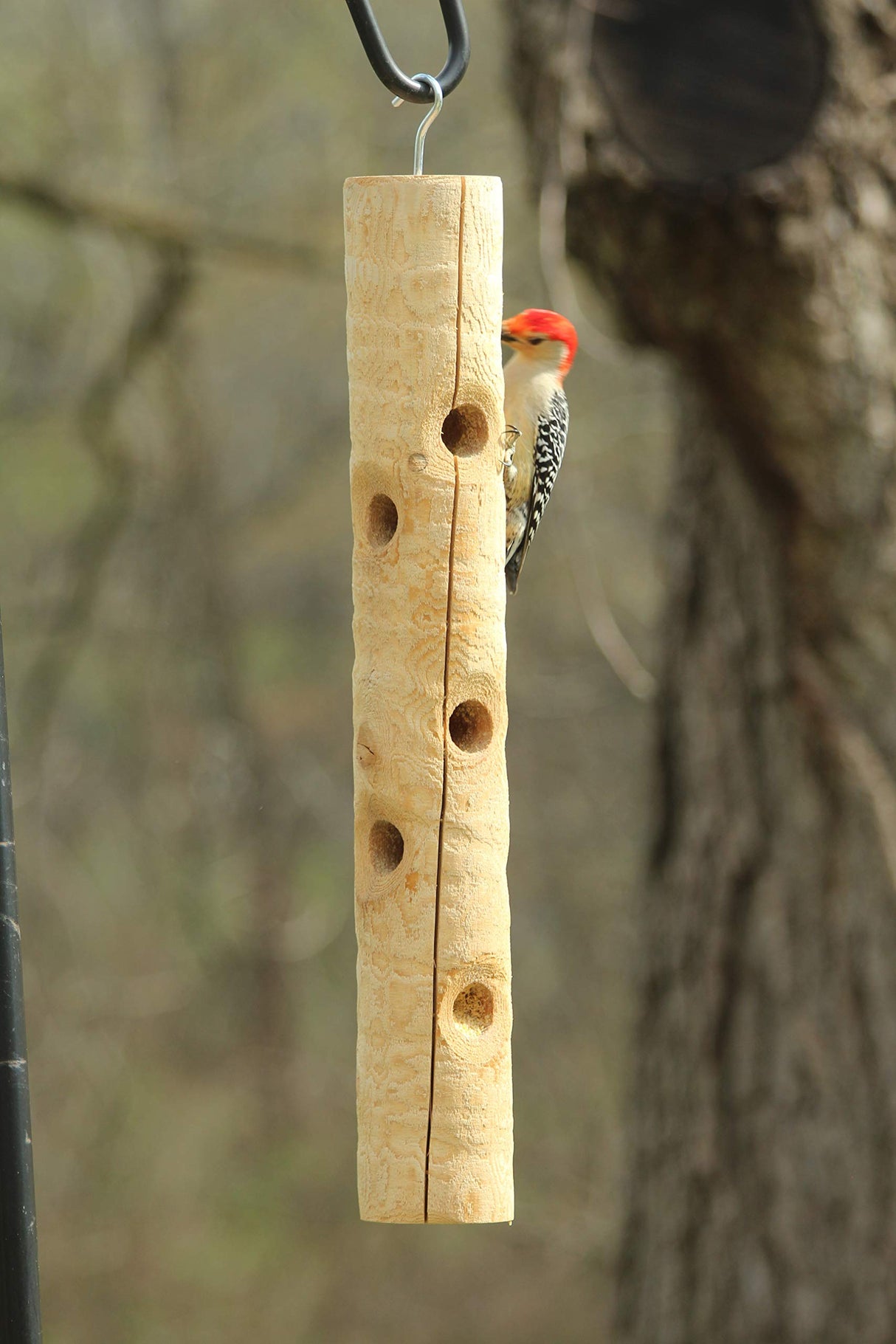 Kettle Moraine Large Cedar Suet Log Feeder for Woodpeckers and Chickadees Kettle Moraine