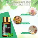 MAYJAM Tea Tree 20 Pcs Pure Essential Oil Gift Set, for Diffuser, Humidifiers, Skin Care, Massage, Fragrance Oil Scent for DIY Candle and Soap Making, Gift for Friend (5ML) MAYJAM