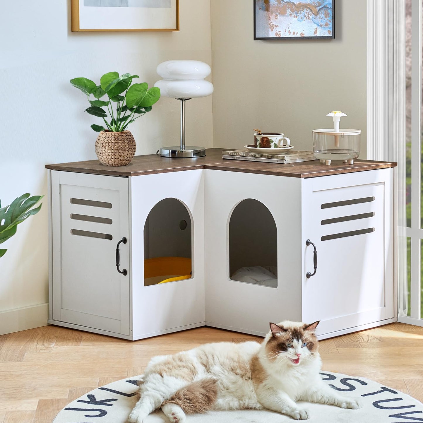 JanflyHome Corner Litter Box Enclosure for 2 Cats, Hidden Litter Box Furniture, Litter Box Cabinet with Double Room, Indoor Cat House End Table, 31.5 x 17.7 x 19.7 in, White