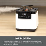 WillowyBe Portable Steam Sauna, Personal Home Spa Room With Bluetooth, Steamer, Sweat Tent, Foldable Sauna Chair, Personal Sauna For Home (Black) WILLOWYBE