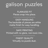 Galison Book World – 1000 Piece Puzzle Fun and Challenging Activity with Bright and Bold Artwork of Literary Characters and Books for Adults and Families Galison