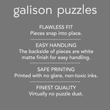 Galison Fireside Friends 1000 Piece Puzzle in Square Box from Galison - Holiday Puzzle for Adults with Beautiful Artwork, Thick and Sturdy Pieces, Makes a Wonderful Gift! Galison