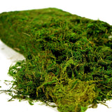 USMOLA Artificial Moss, 16OZ Fake Moss for Crafts, Decorative Centerpieces, Fairy Garden, Wedding Party Decor, Faux Potted Plants, 455gr (Fresh Green) USMOLA