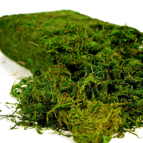 USMOLA Artificial Moss, 16OZ Fake Moss for Crafts, Decorative Centerpieces, Fairy Garden, Wedding Party Decor, Faux Potted Plants, 455gr (Fresh Green) USMOLA