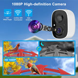 SECUHOME Smart Hummingbird Feeder with Camera Wireless Bird Feeders for Outdoors Video Watching AI Camera with Auto Capture Videos & Motion Detection SECUHOME