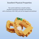 Antinsky Temporary Dental Model Resin for DLP LCD 3D Printer Resin 405nm High Precision High Hardness Fast Cure Time Teeth Textured Appearance Teeth Color A1 500g Antinsky