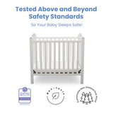 Delta Children Emery Mini Convertible Baby Crib with 2.75-inch Mattress, Bianca White Delta Children