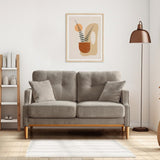 SoarTalent 56.7" Loveseat Sofa Small Couch Fabric Upholstered 2-Seat Sofa with USB Port for Small Place, Apartment, Living Room,Office(Light Grey) SoarTalent