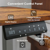 DSNAPE Electric Standing Adjustable Desk with Drawers, 48" x 24" Sit Stand Up Desk Adjustable Height with Side Storage for Home and Office, Rustic Brown DSNAPE