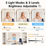 Vabches Large Makeup Vanity with 9 Drawers, Vanity Desk with Mirror and Lights,White and Gold Vanity Table with Charging Station for Bedroom Vabches