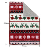 Christmas Area Rugs 4x6 Machine Washable High Traffic Xmas Door Mat Non-Slip Floor Carpet for Living Room Dining Room Bedroom Entryway & Hallway, Snow Print BNUNWISH