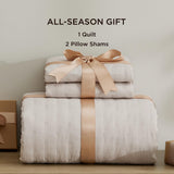 Bedsure Quilts Queen Size - Ultra Soft Queen Quilt Bedding for Modern Farmhouse Bedroom Decor, Lightweight All-Season Comforter, Natural Bedspread Coverlet 90x96 Inch Bedsure