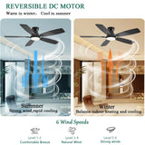 NKPU 52inch Flush Mount Ceiling Fans with Lights and Remote Control/APP Control, DC Reversible Motor, Noiseless, Dimmable, Low Profile Black Ceiling Fan for Bedroom Indoor/Outdoor Use NKPU