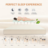 Dyonery 6 Inch Twin Mattress, CertiPUR-US Certified Green Tea Memory Foam Mattress in a Box Fiberglass Free, Kids Mattress for Bunk Bed, 38"×75"×6", Beige Dyonery