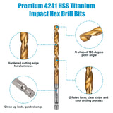 AUYAARS 19 PCS Hex Shank Drill Bit Set, 1/16"-1/4" HSS Titanium Coated Twist Bits for Metal Wood Plastic, 4241 High Speed Steel Small Quick Change Drill Bits with Holder AUYAARS