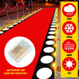 Tinideya 2 x 30 ft Red Carpet Runner for Party Red Aisle Runner with LED Lights Christmas Not Slip Carpet Outdoor Rug Movie Theme Party Accessory for Movie Night Ceremony Film Carnival Tinideya