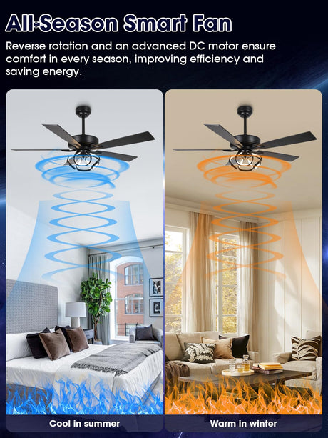 ACEROCK 52 Inch Ceiling Fan with Light, Galaxy-Inspired Design, Reversible Blades, 2100 Lumens LED, Premium 304 Stainless Steel Body, Ultra-Quiet DC Motor, High Airflow (Black) ACEROCK