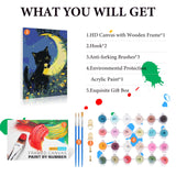 Fountor Cat Framed Paint by Numbers Kit for Adults Beginner & Kids Ages 8-12, Black Cat Paint by Number with Frame, Acrylic Moon Painting by Numbers Kit on Canvas 8x12 inch Fountor
