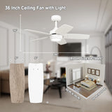 Vagizm Ceiling Fan 36'' for Small Room: Matte White Modern Fans with Light Remote Control - Reversible Quiet DC Motor Dimmable with 6 Speeds for Dorm Room Bedroom Indoor Outdoor Use Vagizm