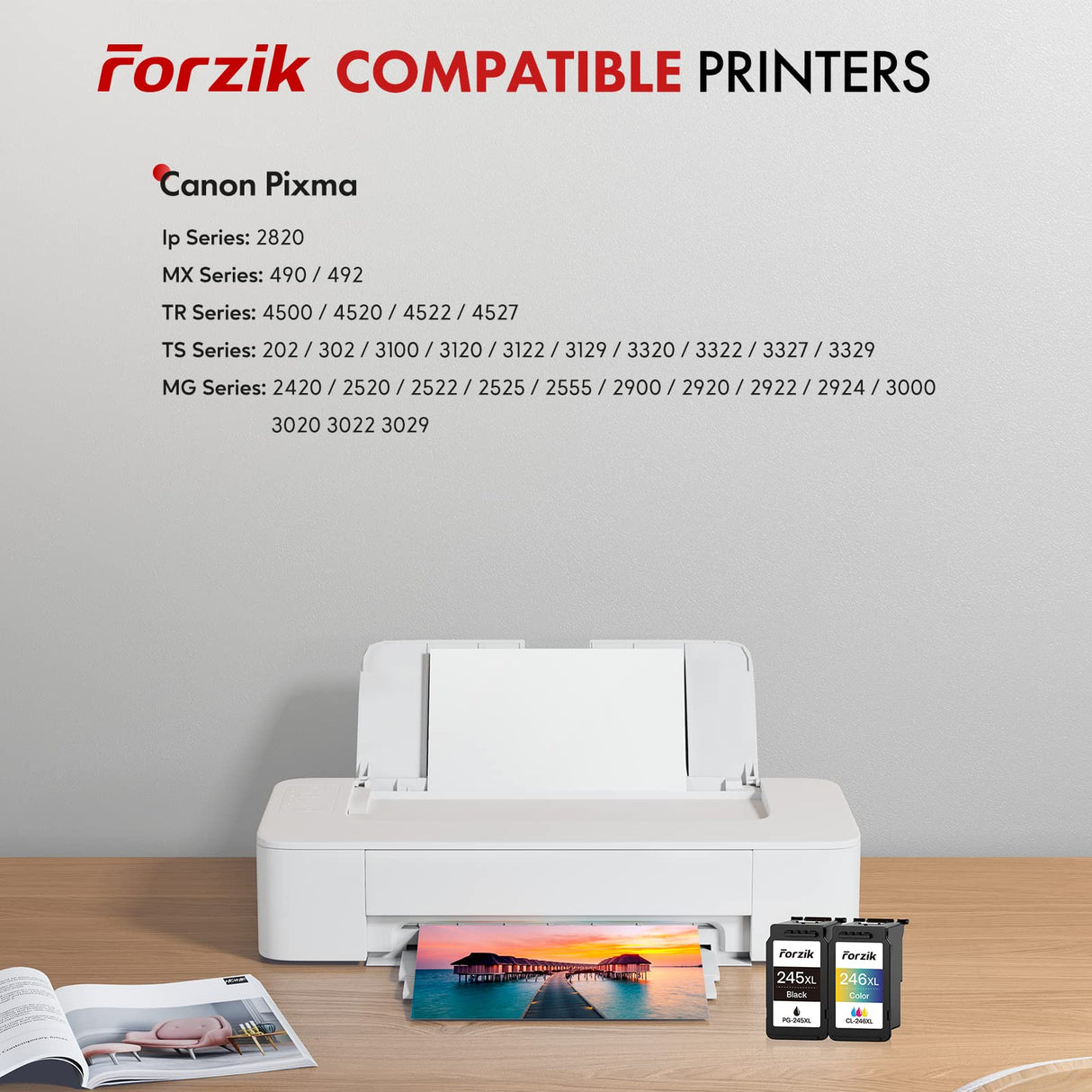 Forzik Remanufactured Ink Cartridge Replacement for Canon 245XL 246XL Black and Tri-color 2 Pack Forzik