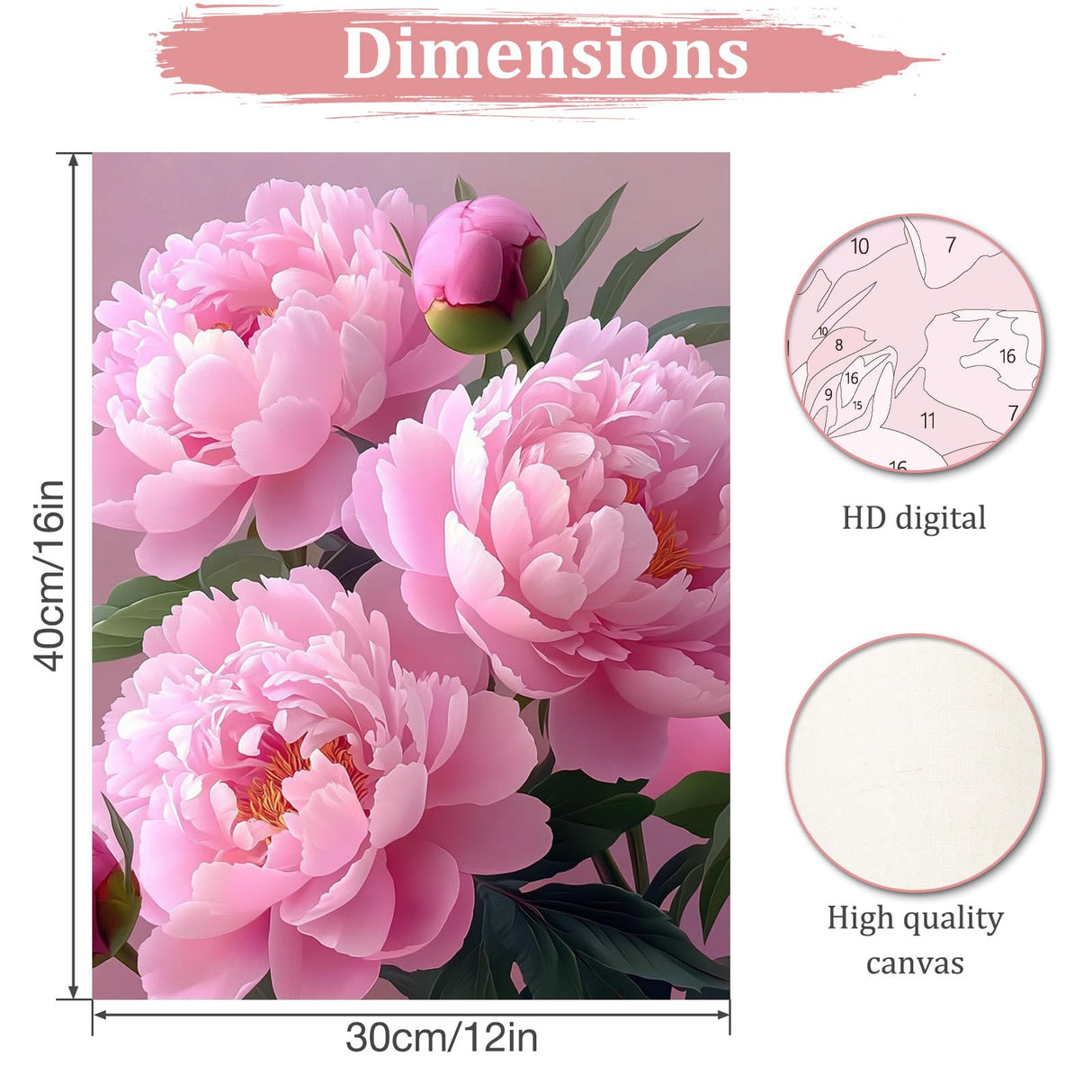 MAXBYE Pink Peony Paint by Numbers for Adults, Flower Paint by Number on Canvas Without Frame, DIY Easy Oil Painting for Home Wall Decor Gift 12x16inch MAXBYE