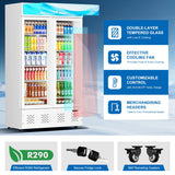 40 Cu.ft Commercial Beverage Refrigerators Glass Door Refrigerator Commercial with LED Light and 10 Shelves, Display Refrigerator for Restaurant Store Cafe Bar, ETL/NSF Approved, White ECEVT
