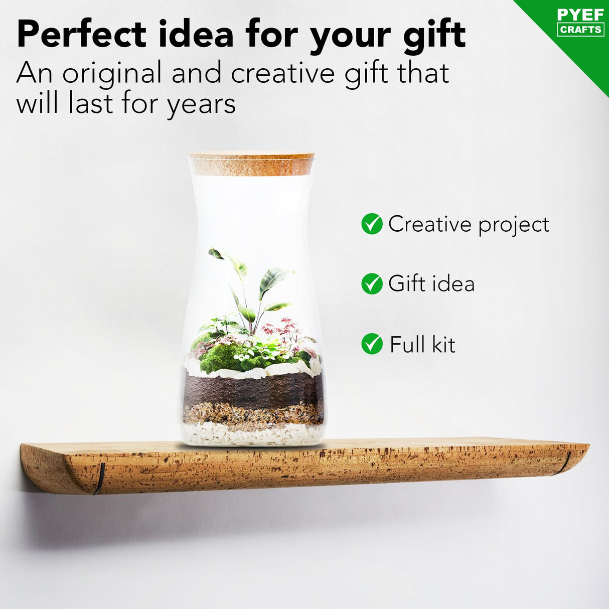 PYEF CRAFTS DIY Terrarium Kit for Adults – Build Your Own Self‑Sustaining Closed Ecosystem – 34 fl oz (1‑Liter) Glass Terrarium – Succulents, Air Plants, Fittonia, Fern – Plants Not Included PYEF CRAFTS