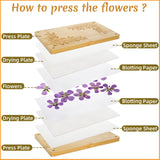 Pumtus Large Flower Press Kit, 6 Layers 11" x 7" Leaf Plant Preservation Kits, Even Pressure DIY Bamboo Floral Pressing Kit, Easy Pressed Arts and Craft Tool for Wedding Flower Preserve, DIY Lovers Pumtus