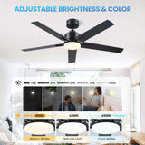 DSNAPE 52 Inch Black Ceiling fan with Lights, Ceiling Fan with Lights and Remote/APP Control, Reversible, Dimmable, 3CCT, Quite Ceiling fan for Living Room, Bedroom, Indoor Outdoor Use DSNAPE