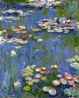 Meecaa Paint by Numbers Water Lily Pond Lotus Impression Kit for Adults Beginner DIY Oil Painting 16x20 inch (Water Lily, No Frame) Meecaa