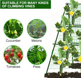 Cucumber Trellis Garden Trellis Arch Trellis, Tall Metal Trellis for Climbing Plants Support Vegetable Peas Fruit Vine Outdoor A-Frame Trellis (Green) 7Queen